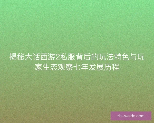 揭秘大话西游2私服背后的玩法特色与玩家生态观察七年发展历程